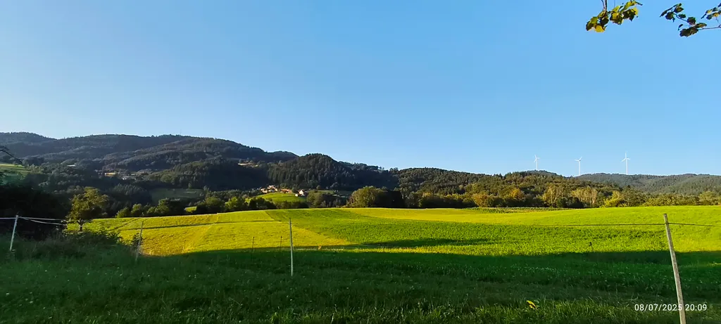 Bild von Brady für den Spot 1704