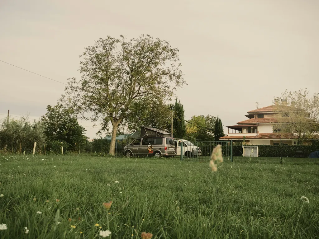 Green Camp