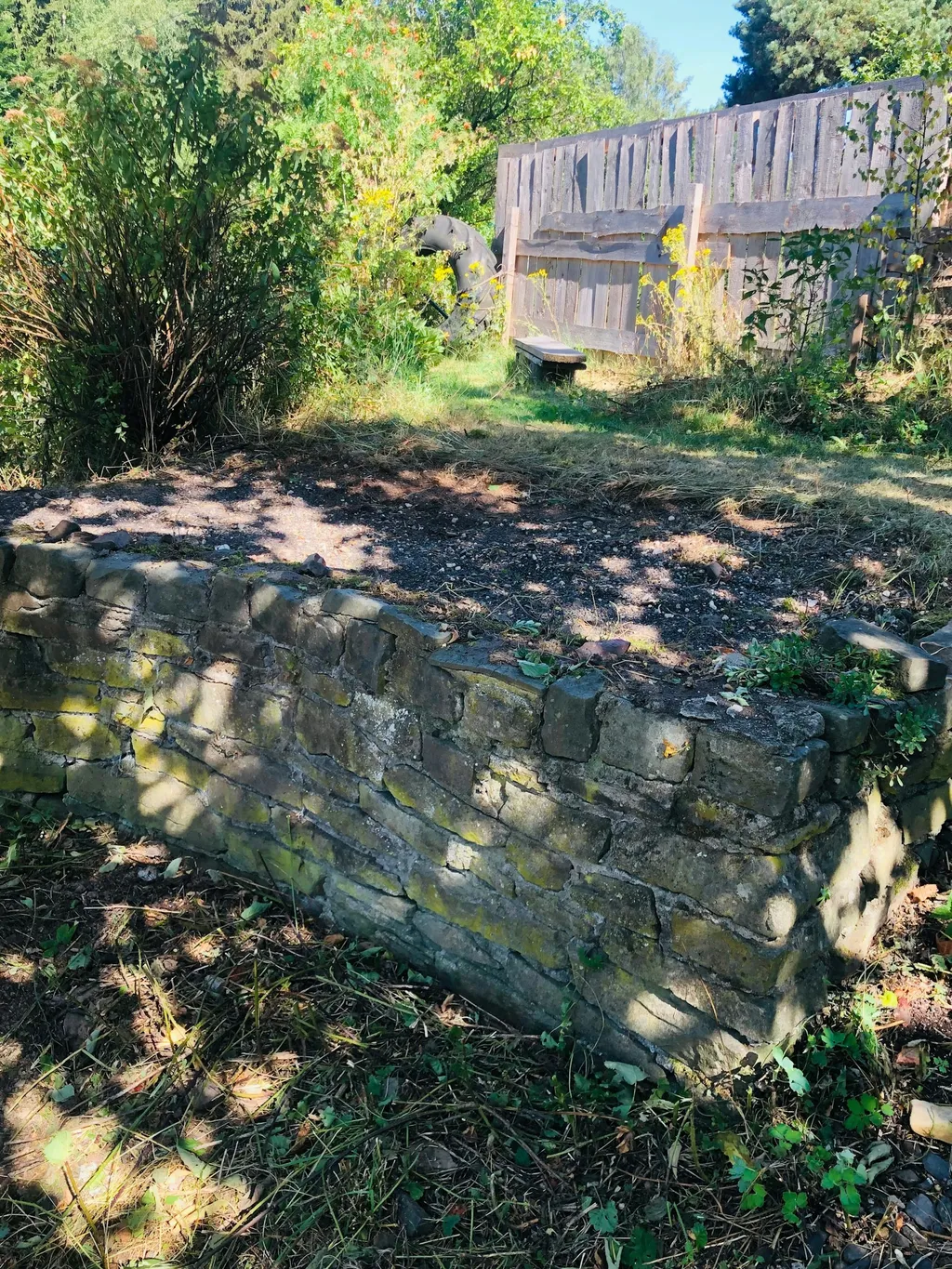 Träumen unter den Sternen