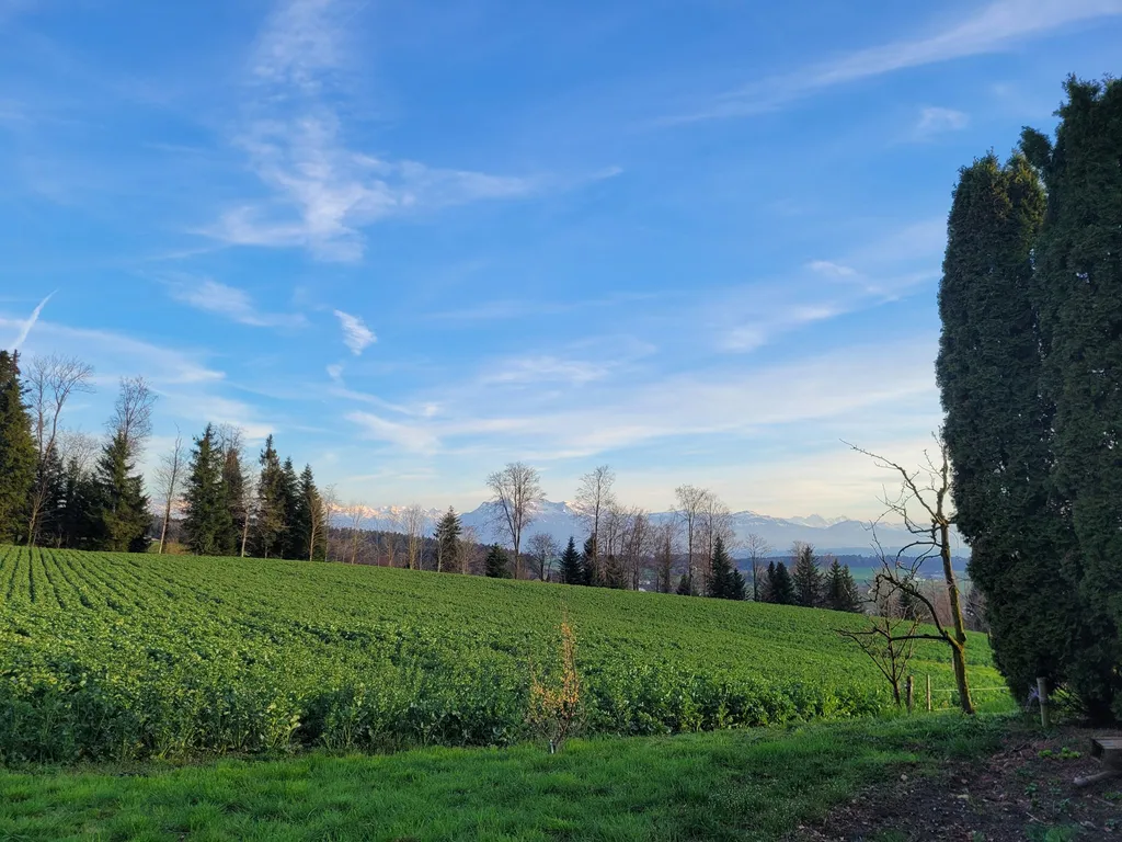 Vogelhof Camp "Herzfreudig"