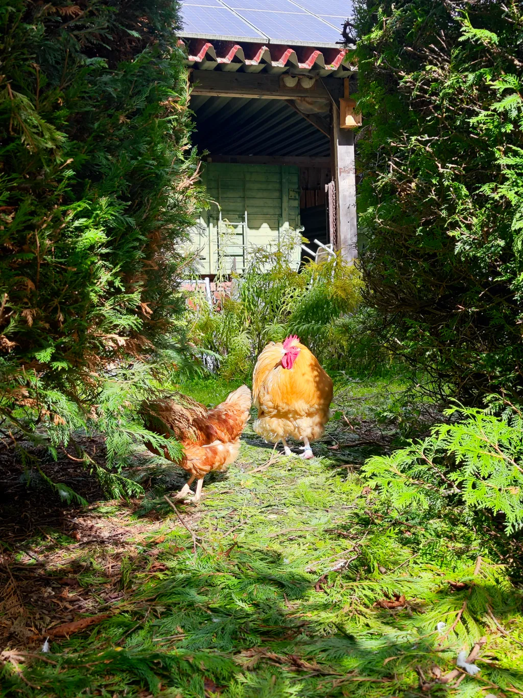 Bild von Karolin für den Spot 3436