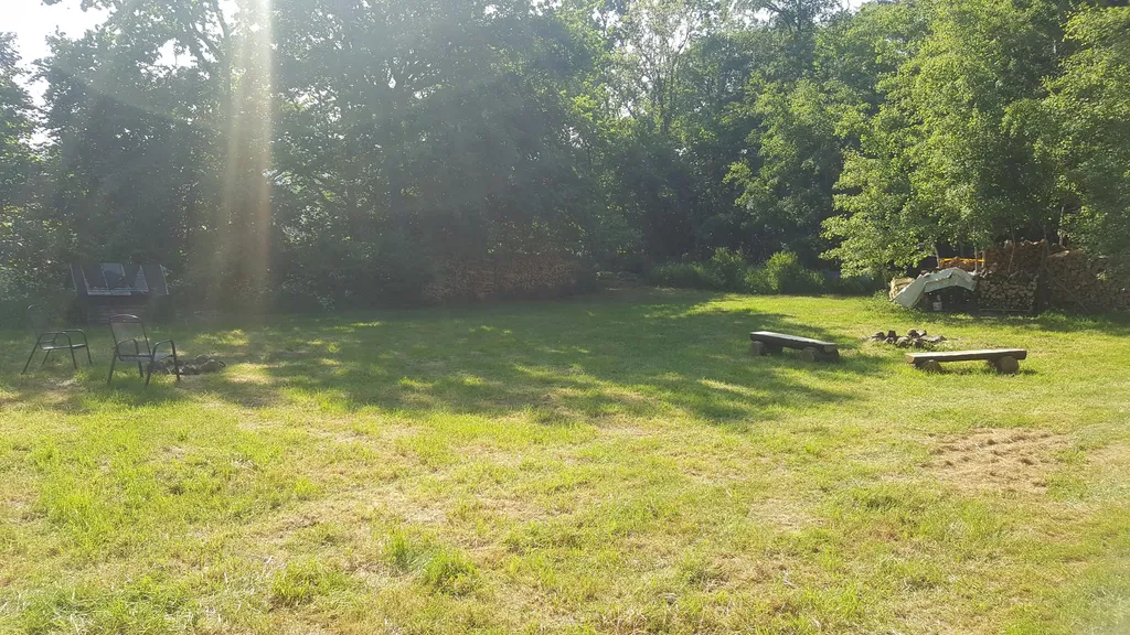 Wunderschöne Waldrandwiese