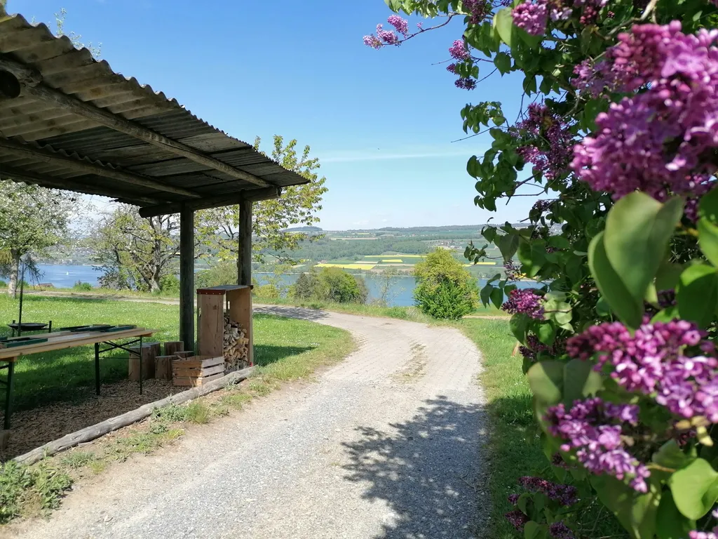 Camp im Obstgarten mit Seeblick