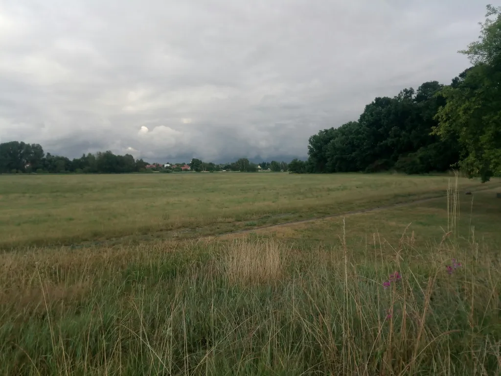 Schöne Wiese am Waldrand – Niemegk