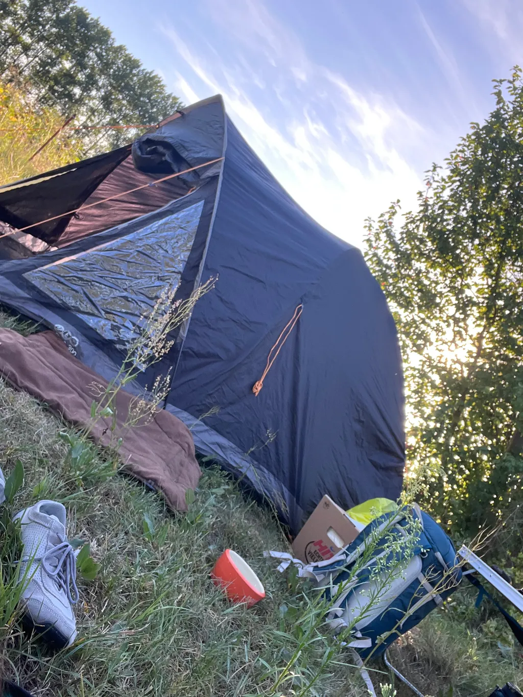 Bild von Roman für den Spot 2937