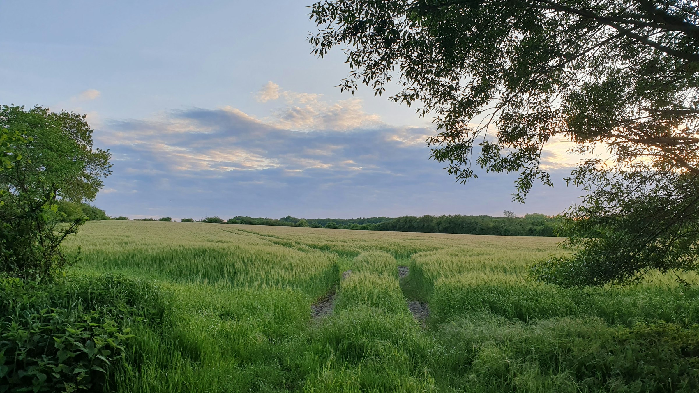 Übernachten am Feldrand