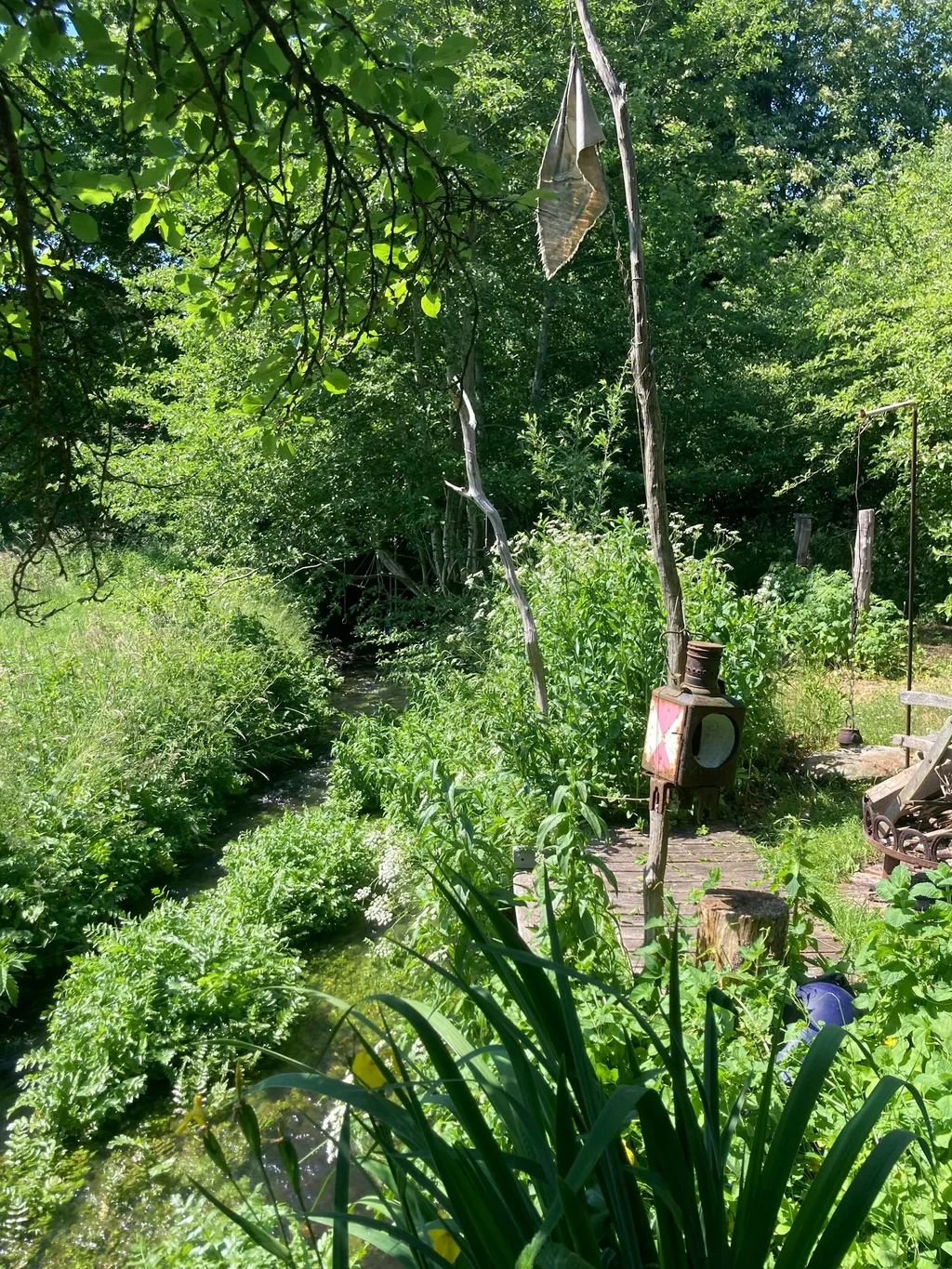 Zeltplatz unterm Apfelbaum