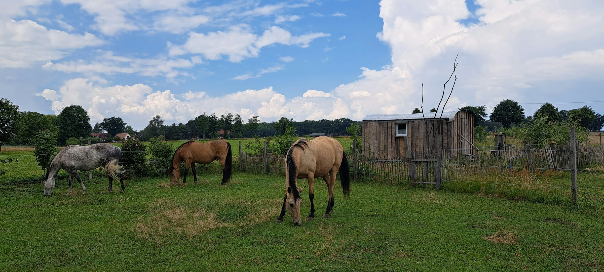 Zirkuswagen am Biosphärenreservat