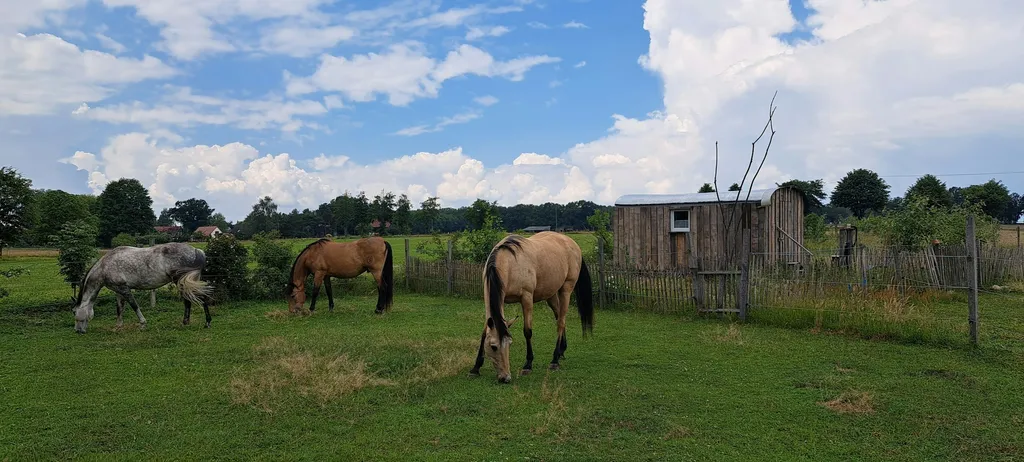 Zirkuswagen am Biosphärenreservat