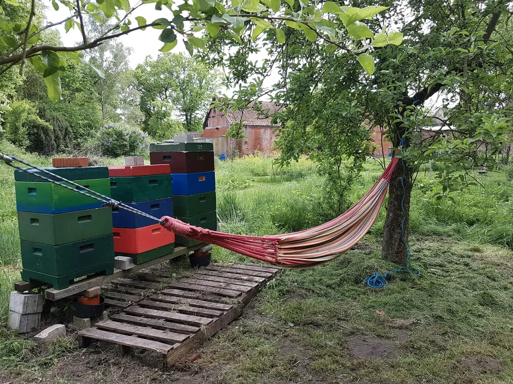 Bienengarten im Rundlingsdorf