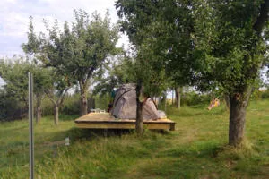Zelten im Apfelwald