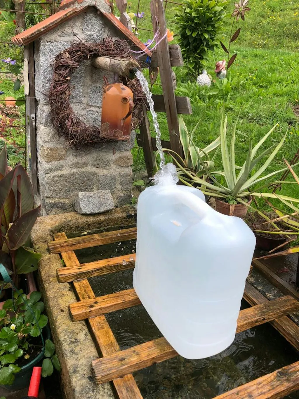 Woid-Wiese mit Ausblick