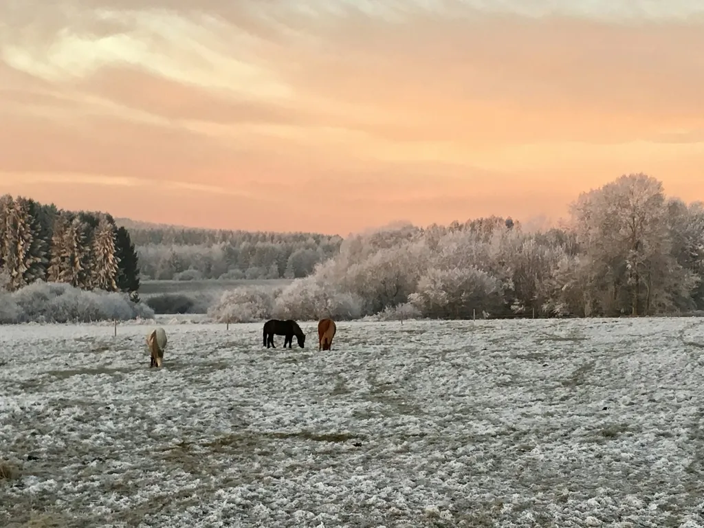Isi Camp am Storchennest Westerwald