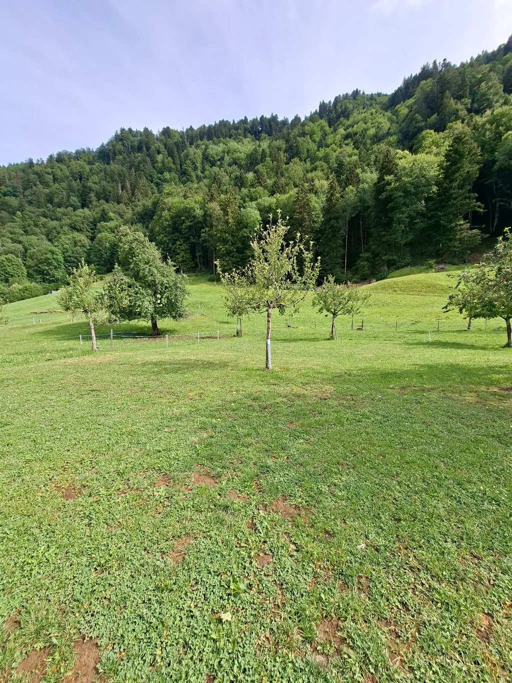 Camping- und Zeltwiese