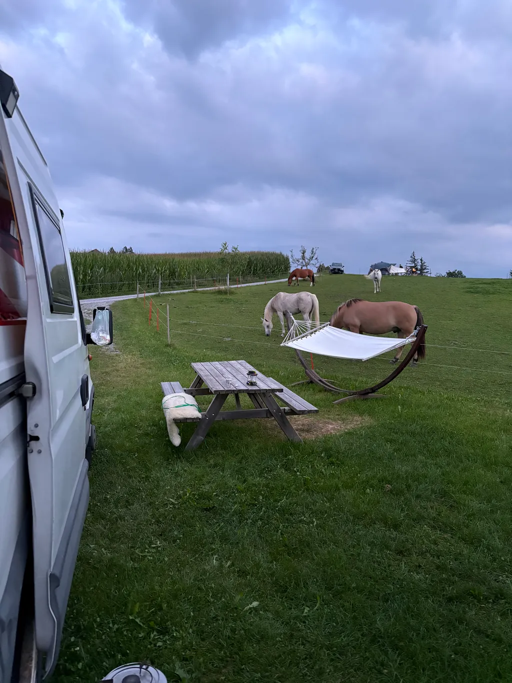 Image de Sabine pour le spot 311