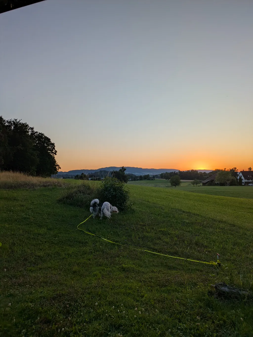 Bild von Jirko für den Spot 895