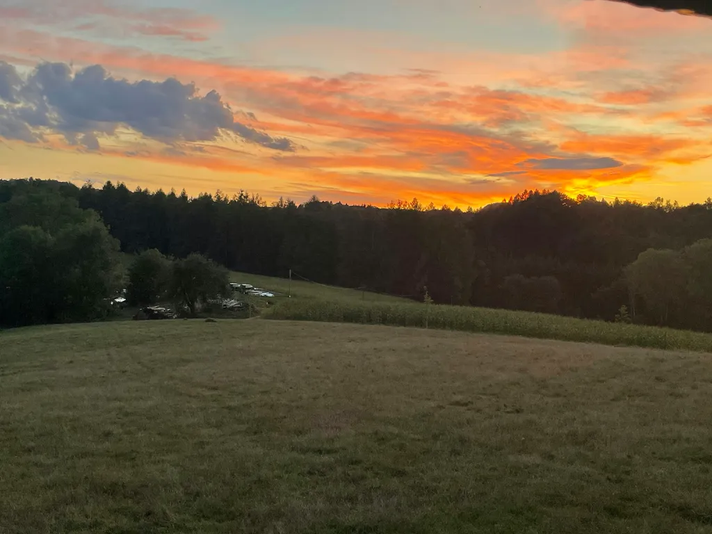 Wiese am Hirschgehege