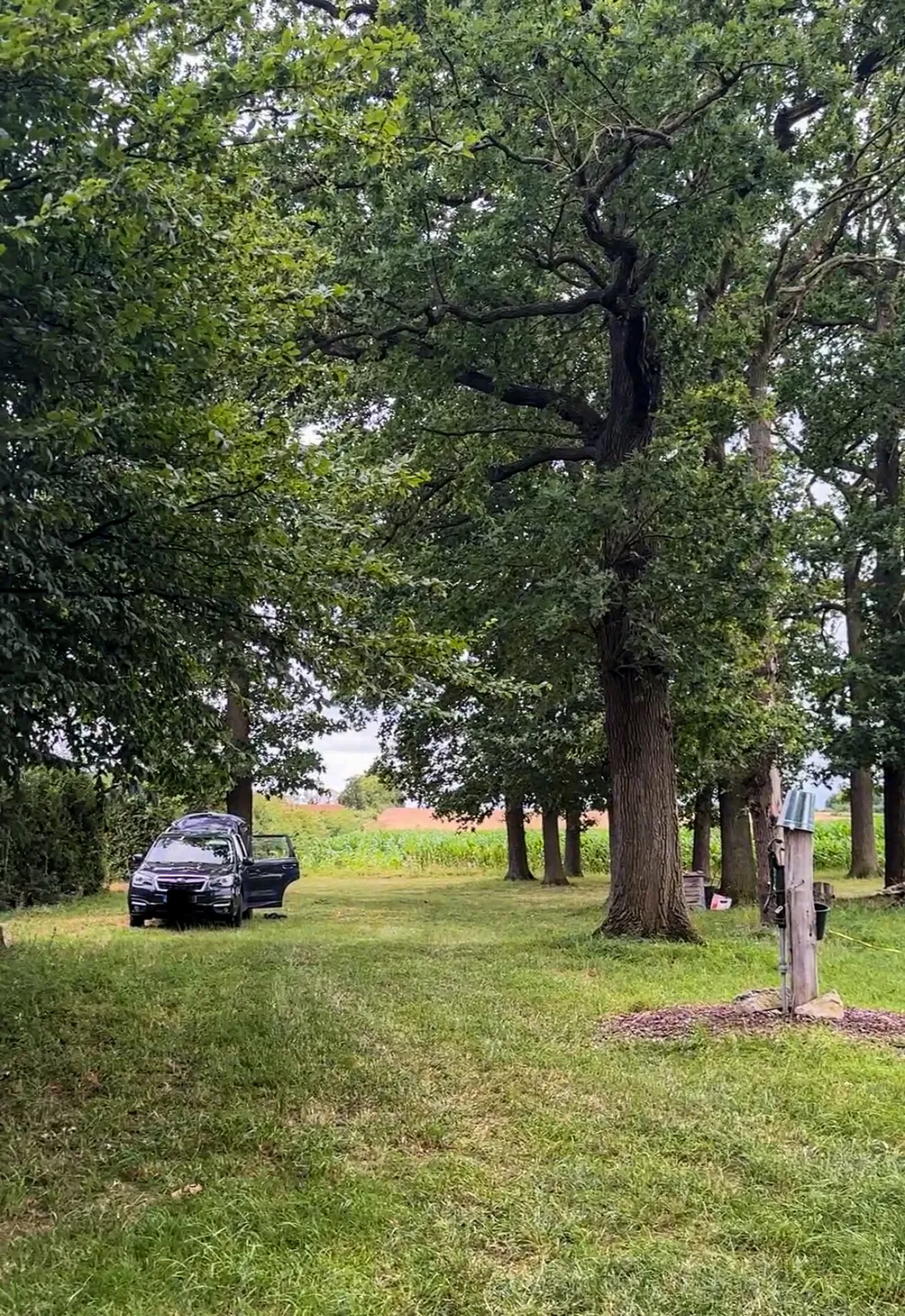 Bild von Nora für den Spot 3646