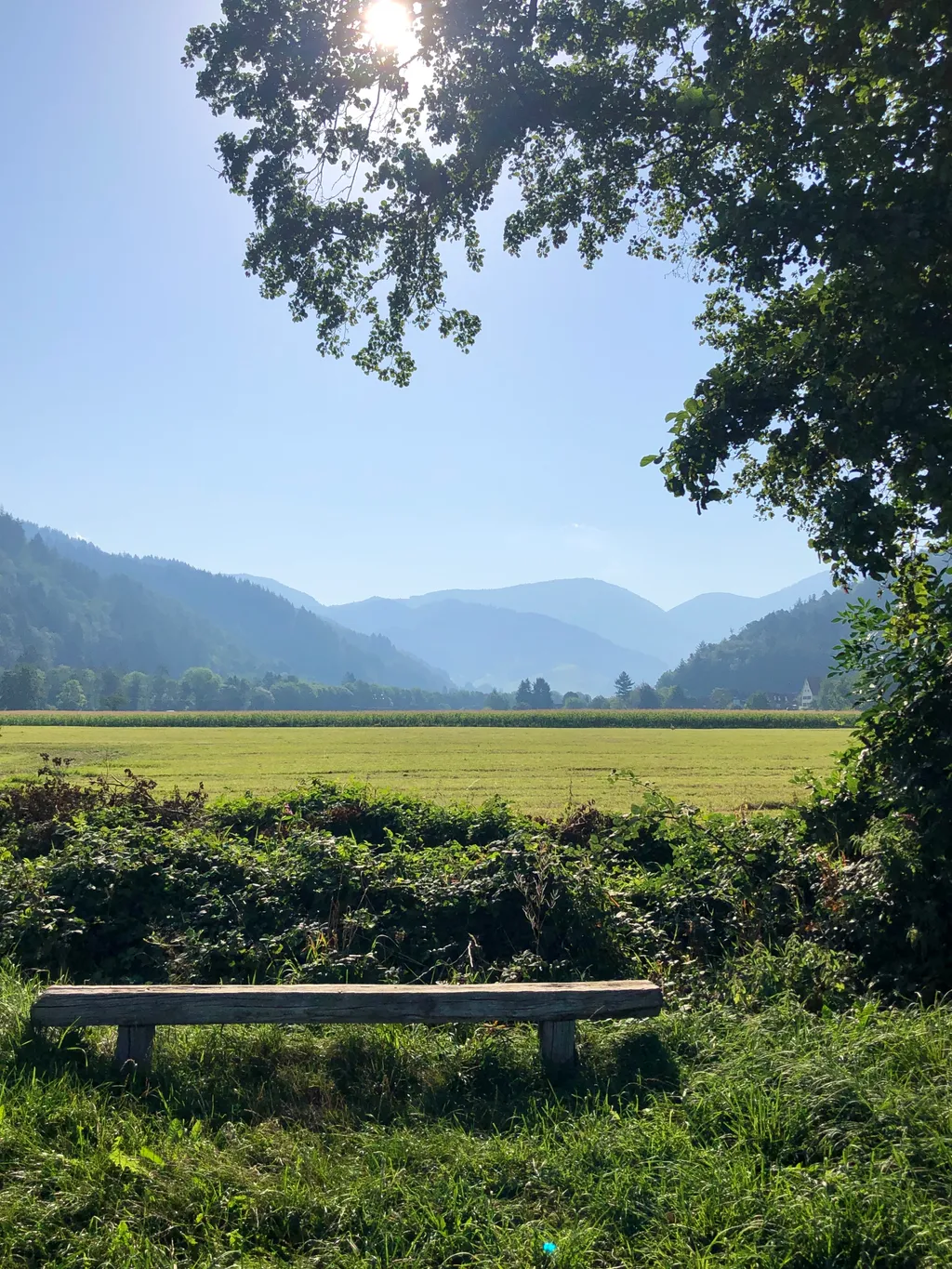 Natur überall wo man hinschaut. Ein reicher Ort an schönen Plätze und Ausblicke.