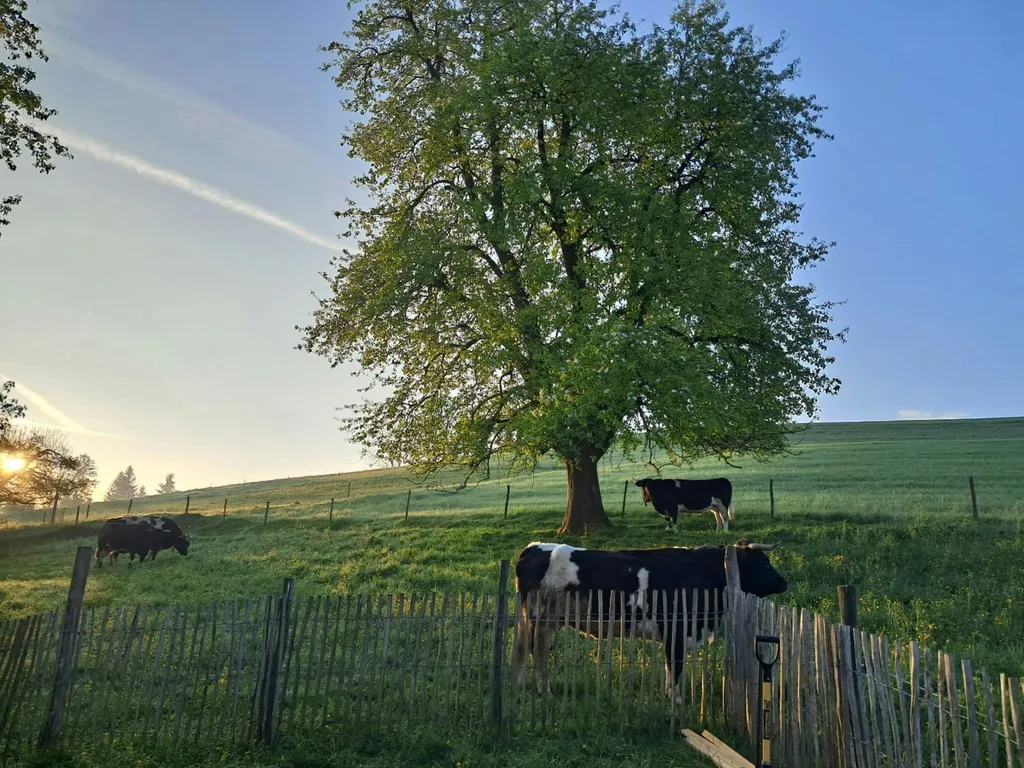 Lebenshof für Mensch und Tier