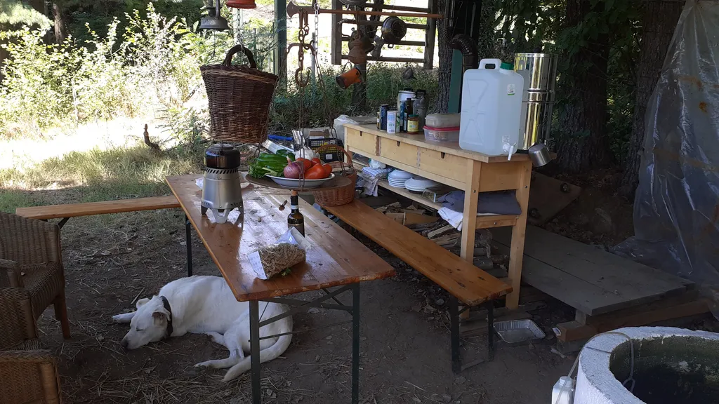 L'oliveraie Taurine et permaculture.