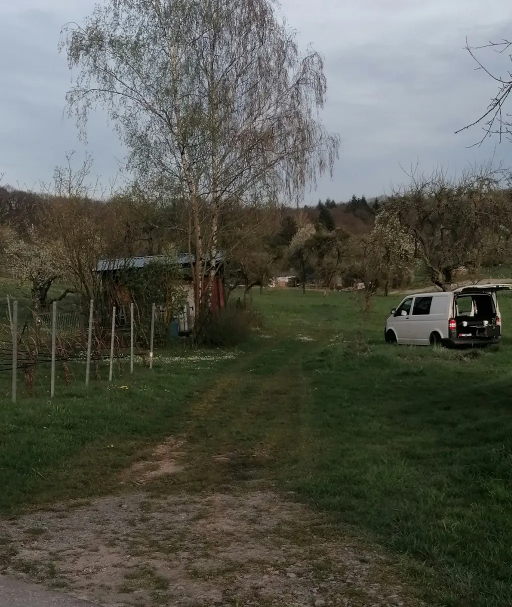 Wo's Blümle wächst