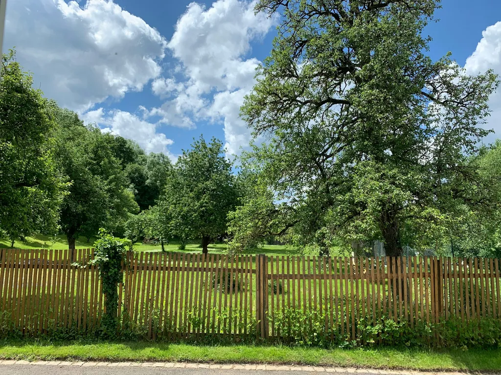 Natur pur, abschalten garantiert 🤩