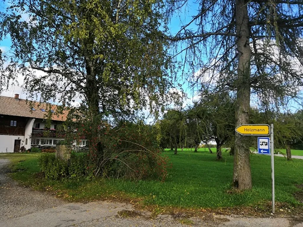 Beim Holzmann