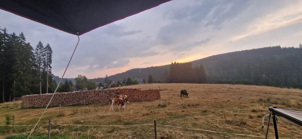 Bild von Michel für den Spot 1702