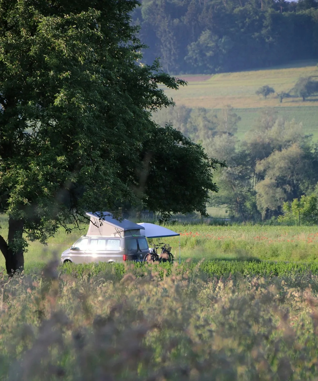 Idyllisch über dem Hüttwilersee