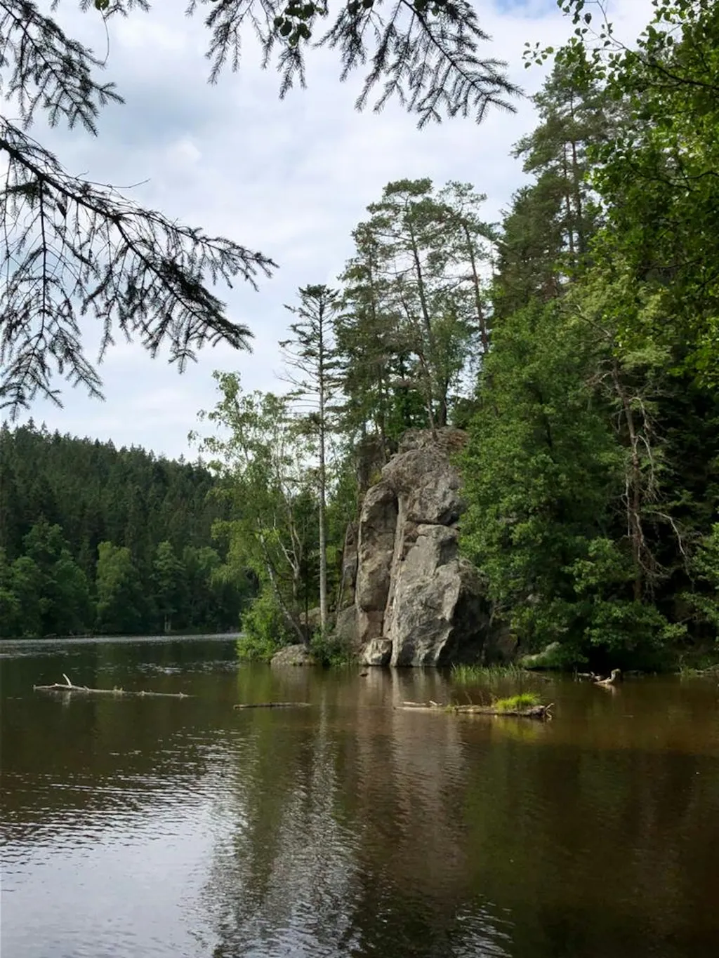 Woid-Wiese mit Ausblick