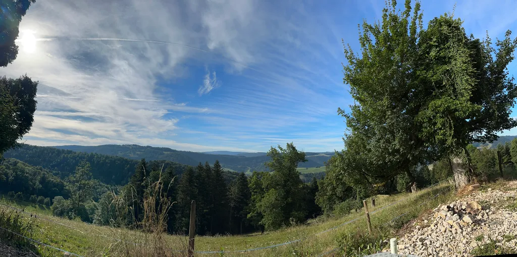 Bild von Emanuel für den Spot 51