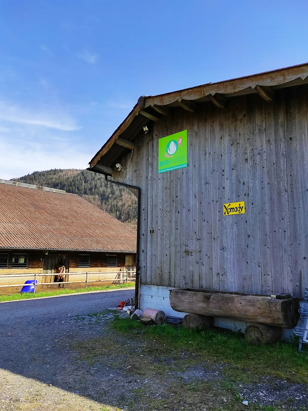 Gletschermoräne Degenberg