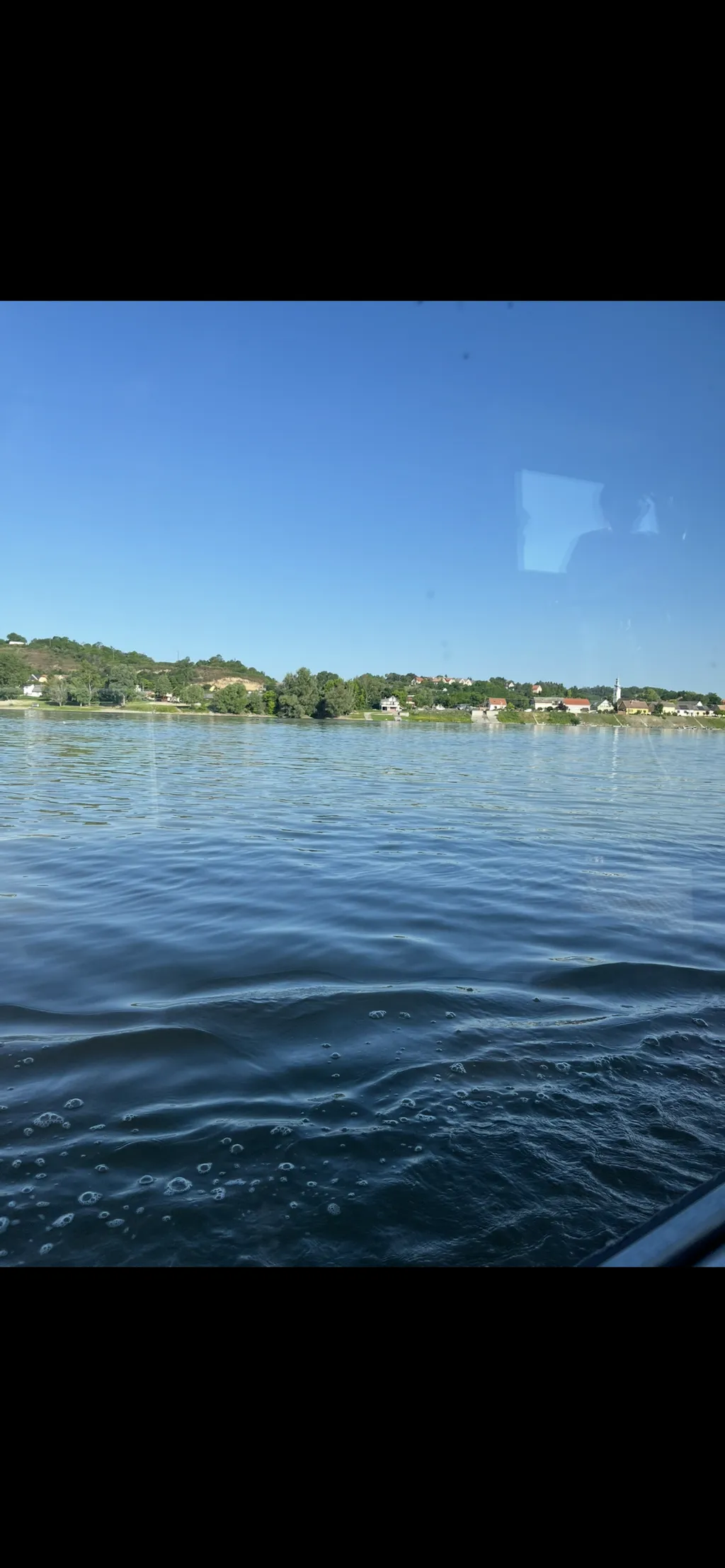 Walnussplantage direkt an der Donau
