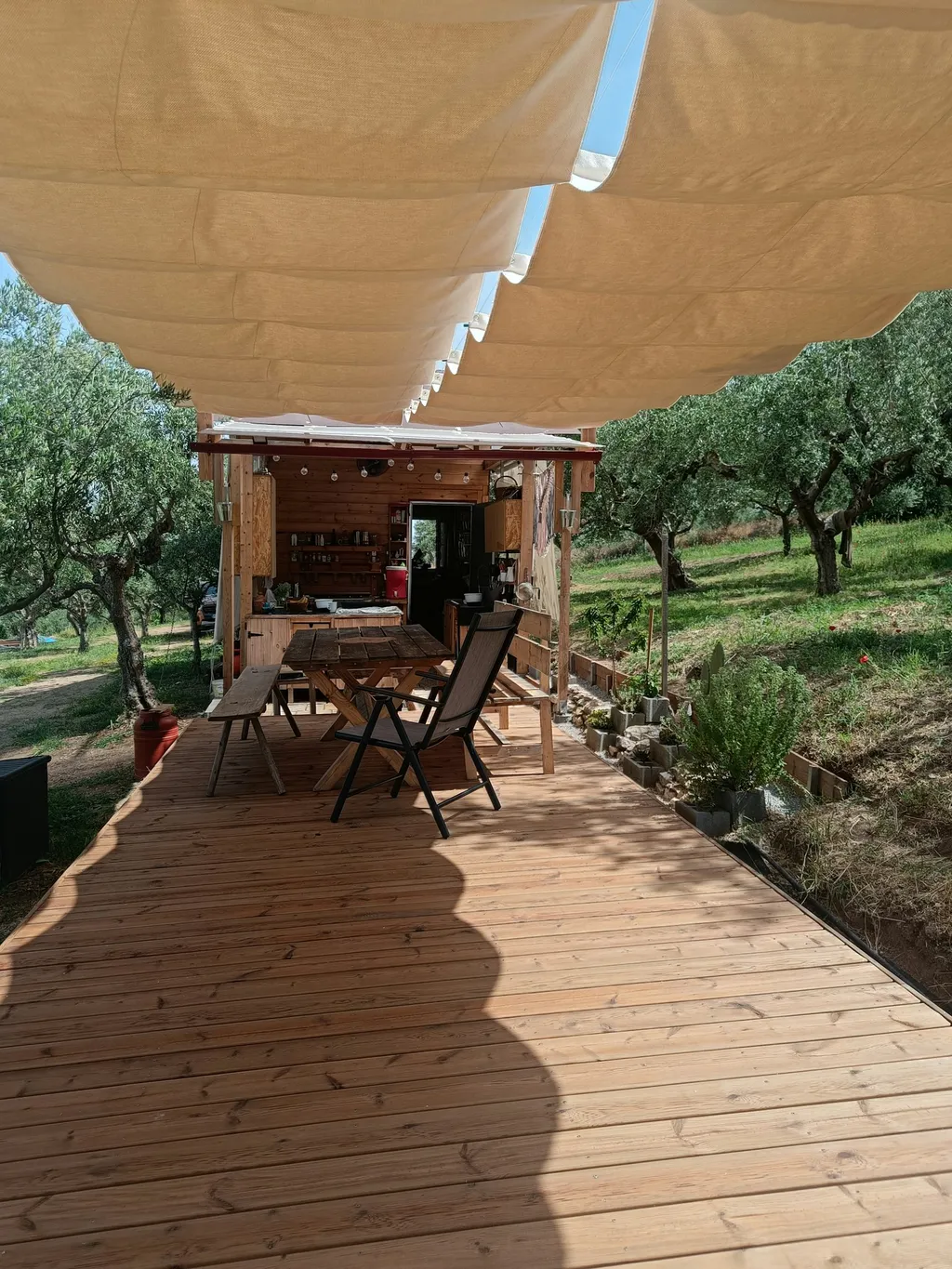 Stille im Olivenhain mit Meerblick