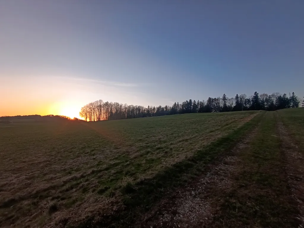 Campement (en bordure de forêt)