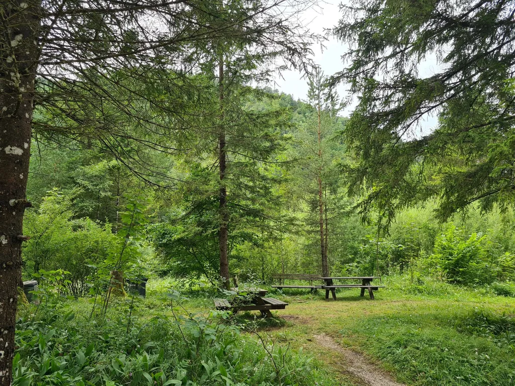 Naturpark Erlaufboden Zeltplatz