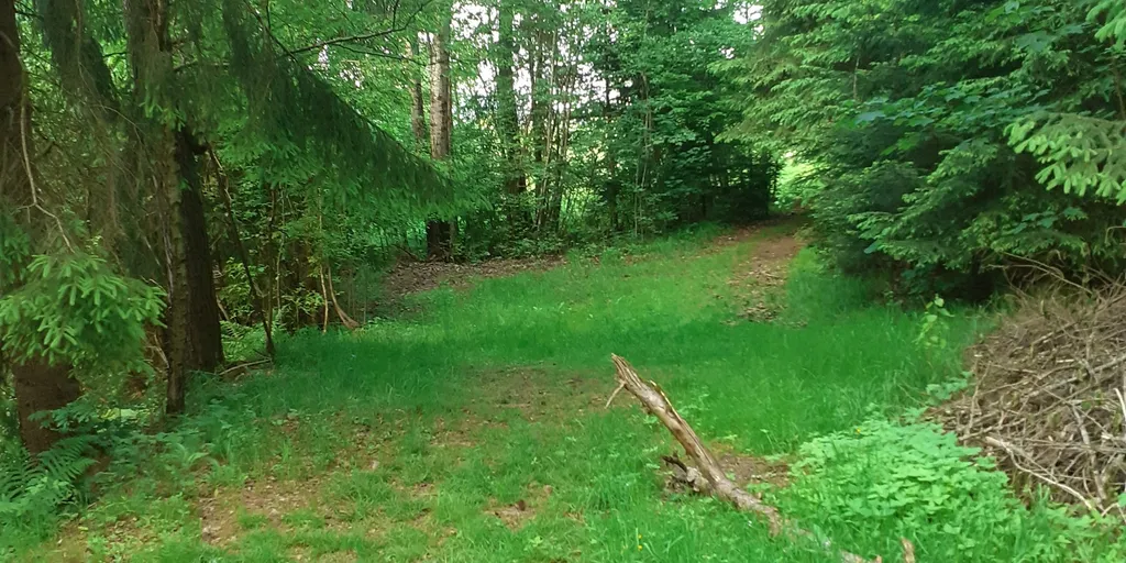 Campingplatz Steinbruch Bayern