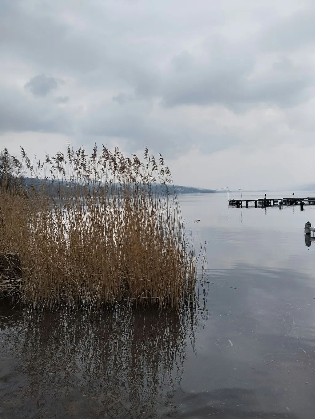 Profilbild von Mirjam