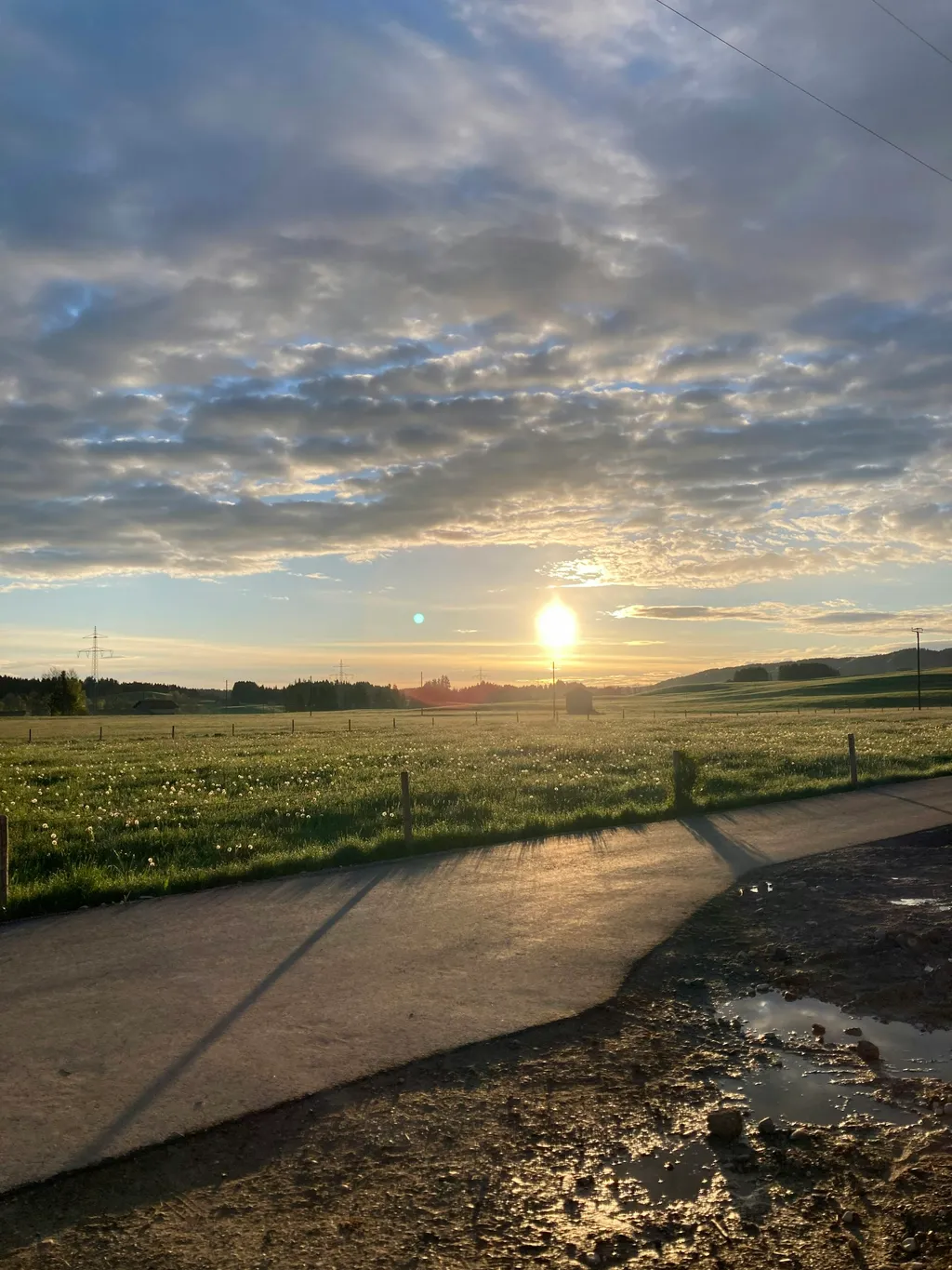 Idylle mit Seeblick und Pferden