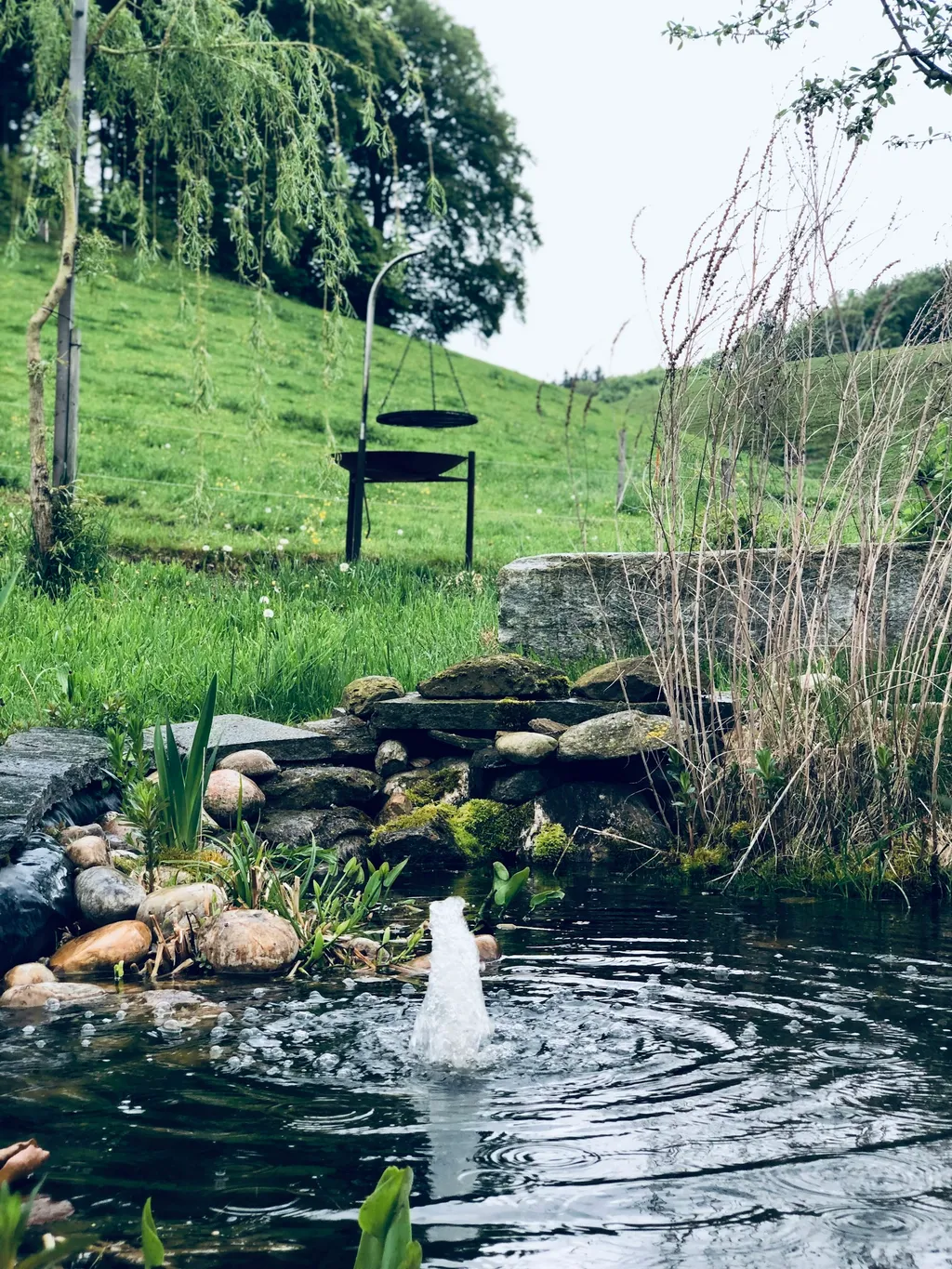 Der kleine Teich beherbergt seltene Glögglifrösche (Geburtshelferkröte). Freue dich auf ein kleines Konzert am Abend.