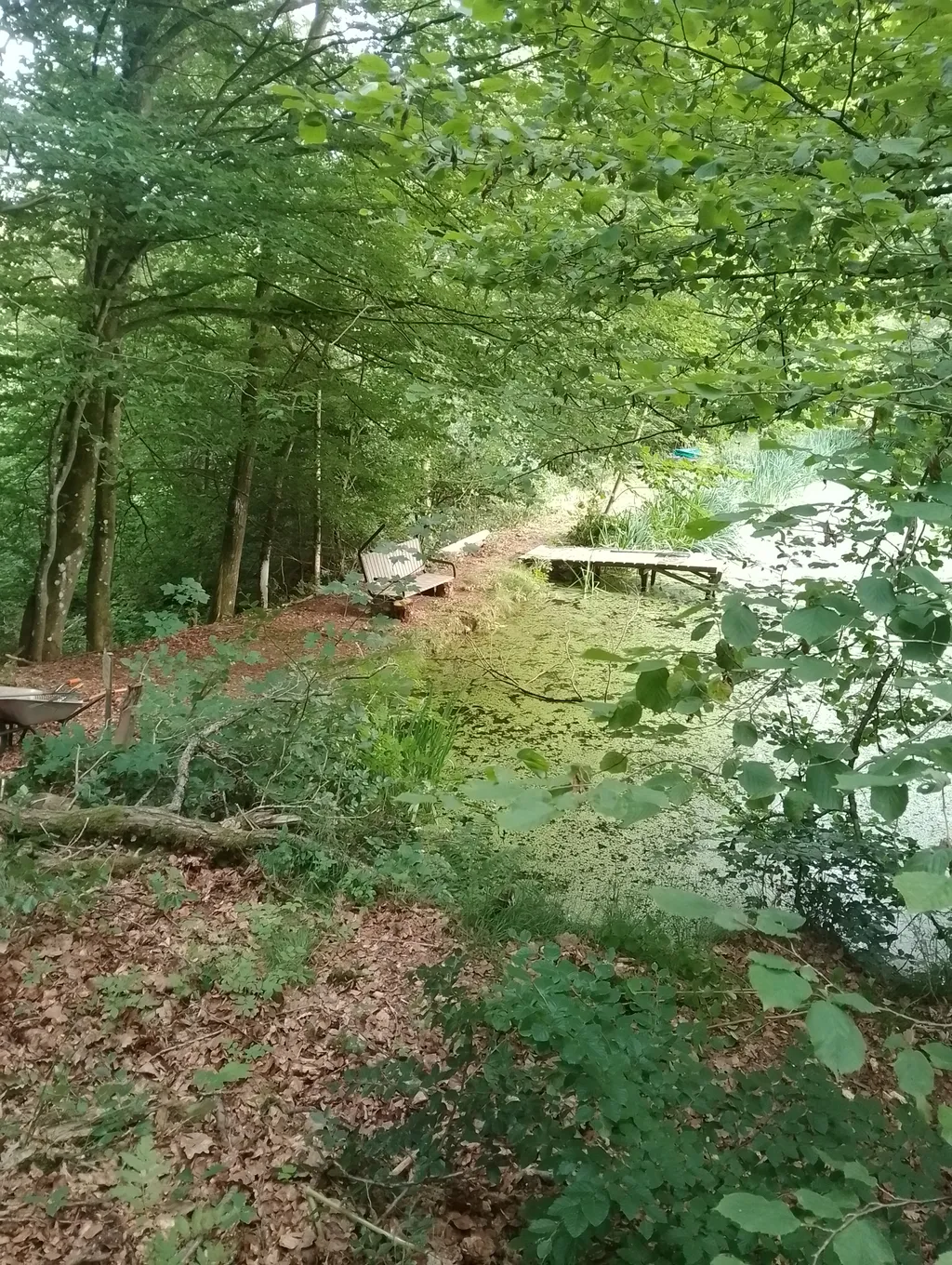 Image de Sandro pour le spot 3888