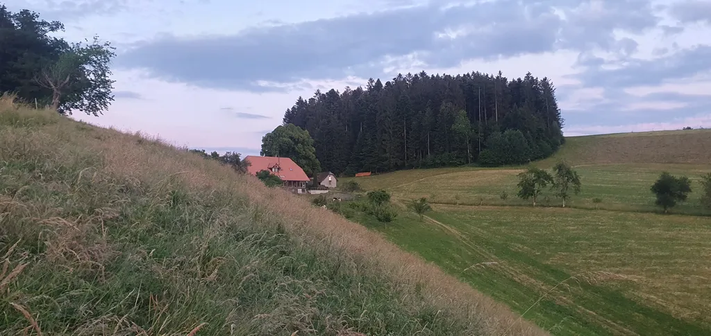 Emmentalcamp unter der Linde