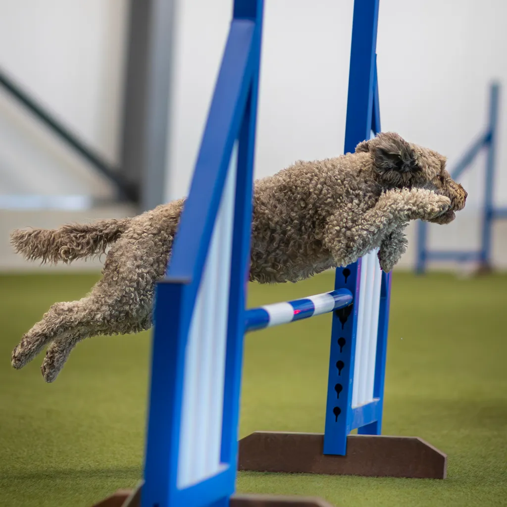 Profilbild von Rachel