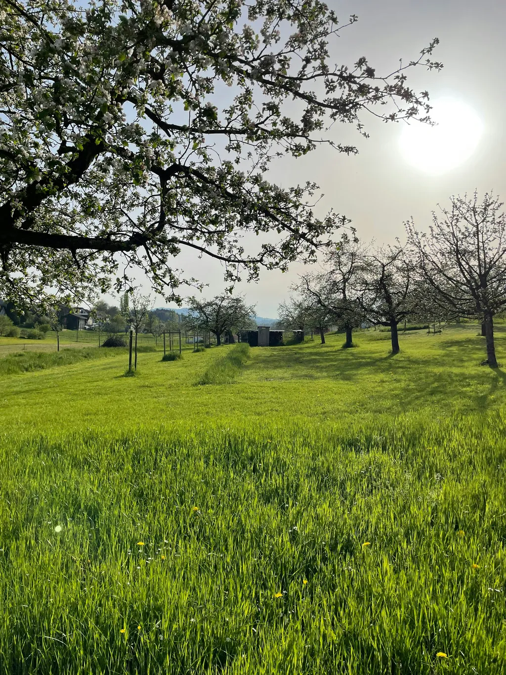 Familyfarm Camping
