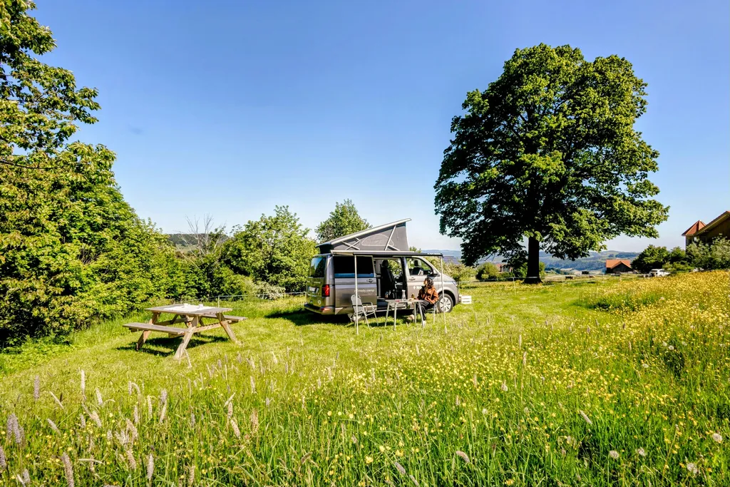 Lindenbaum Camp Sedelberg