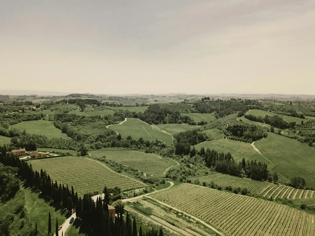 Camp nel vigneto 🍇🍷
