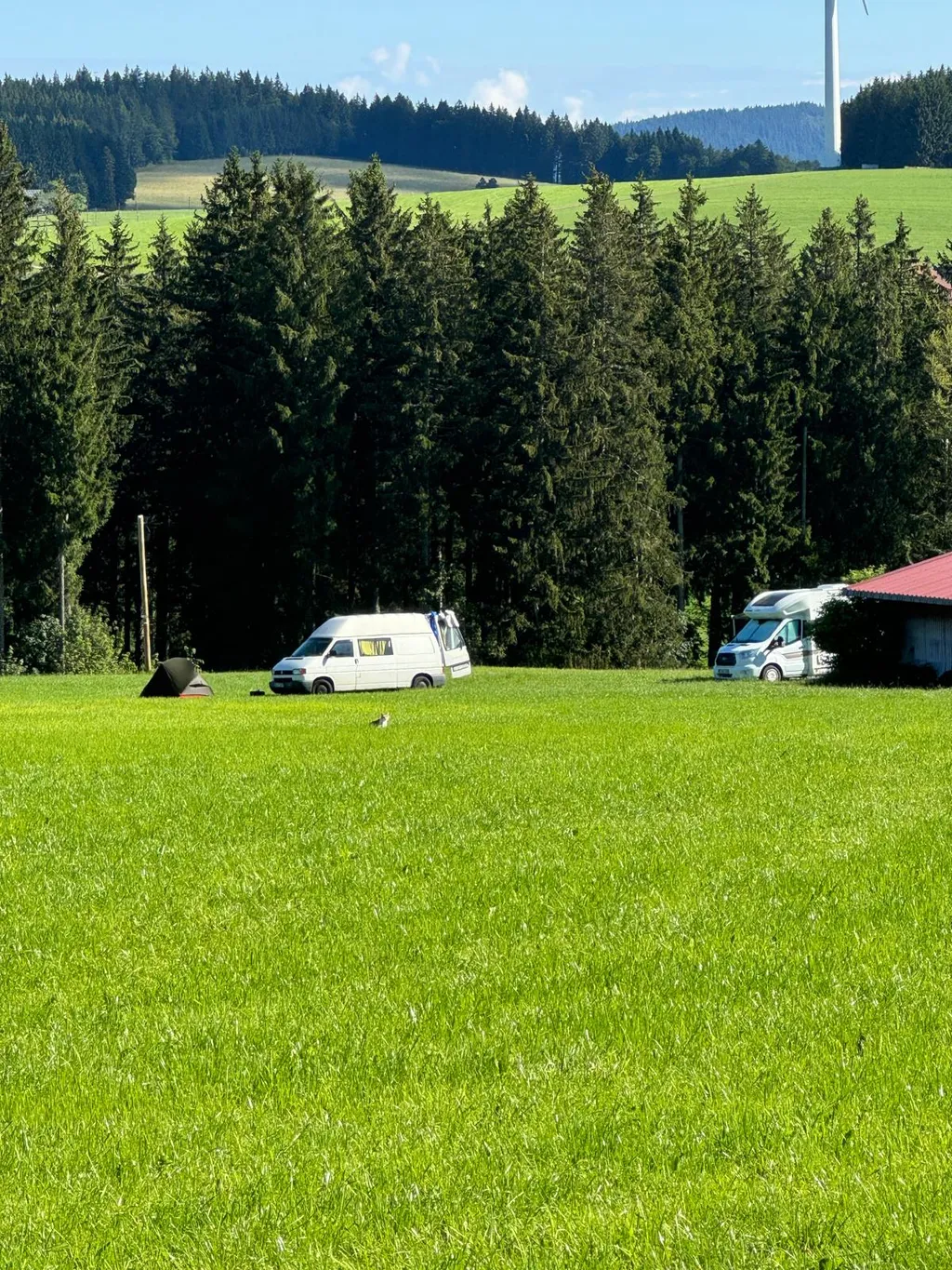 Stellplatz mit Sternenhimmel