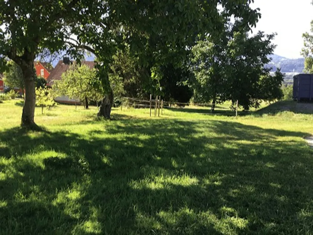 Zelten mit Blick in die Schweiz