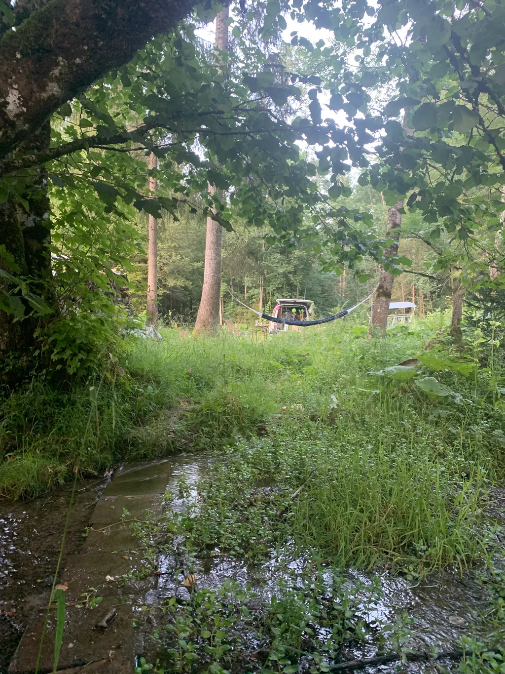 Bild von andrea für den Spot 75